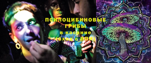 молекула духа Абинск