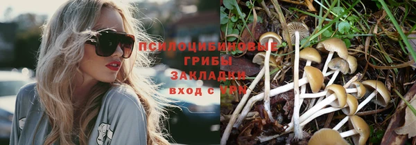 амфетамин Алексеевка