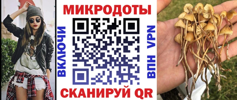 Галлюциногенные грибы Psilocybine cubensis  что такое   Салават 